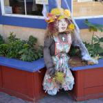 Cambria_0439 (November 01, 2013)